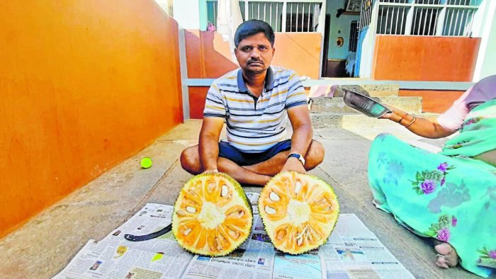 Read more about the article Deccan Herald: ‘SidduJack’ jackfruit farmer gets exclusive rights